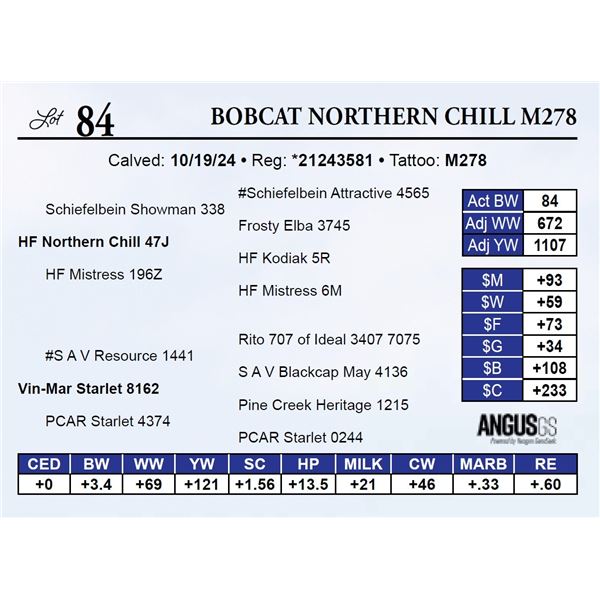 Bobcat Northern Chill M278