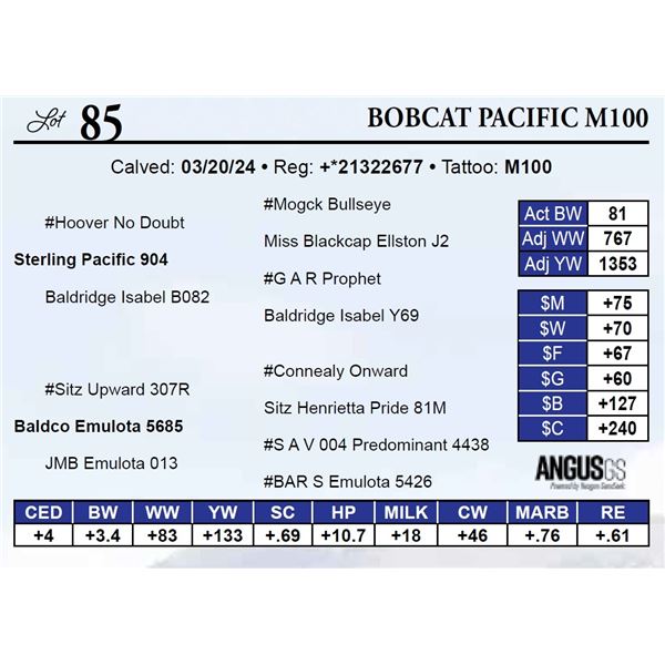 Bobcat Pacific M100