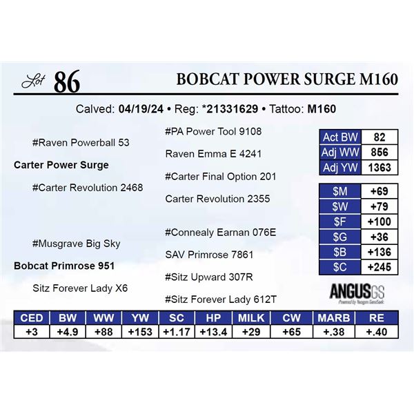 Bobcat Power Surge M160