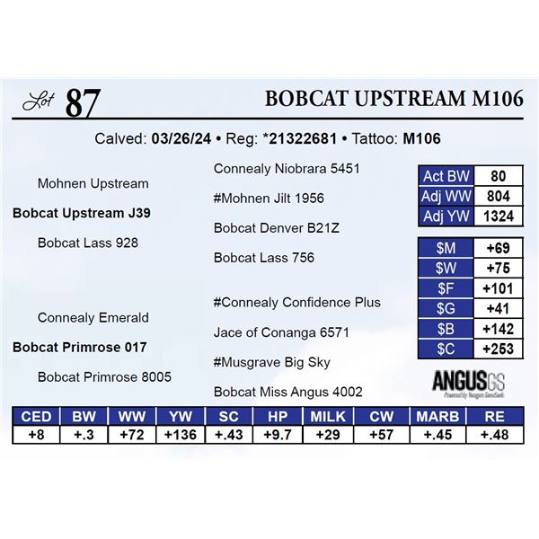 Bobcat Upstream M106