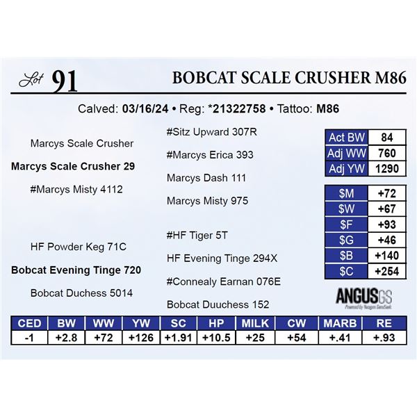 Bobcat Scale Crusher M86