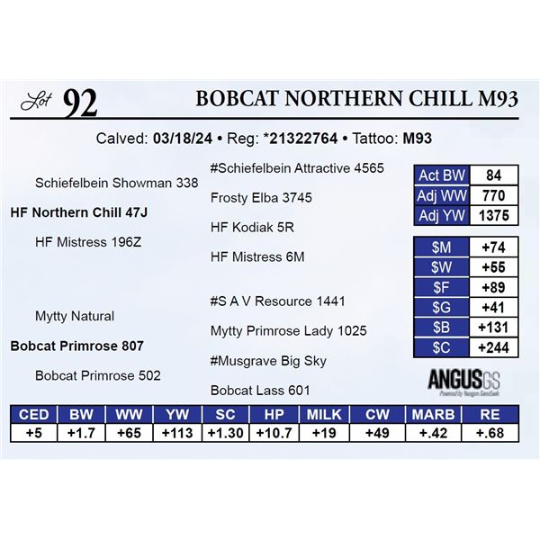 Bobcat Northern Chill M93