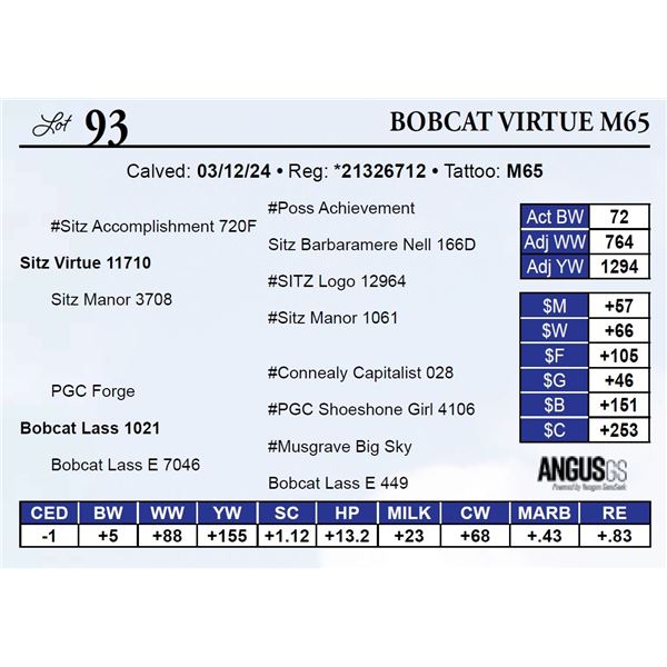 Bobcat Virtue M65