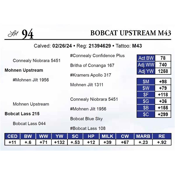 Bobcat Upstream M43