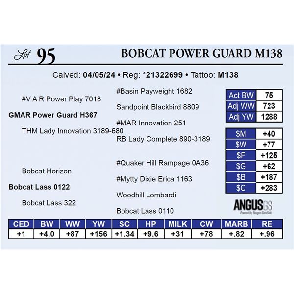 Bobcat Power Guard M138