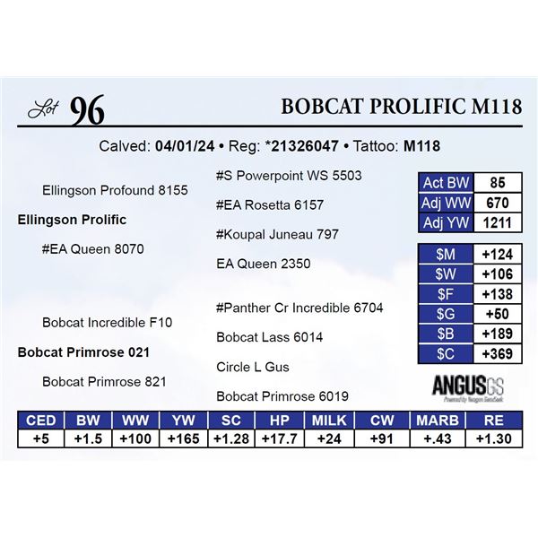 Bobcat Prolific M118