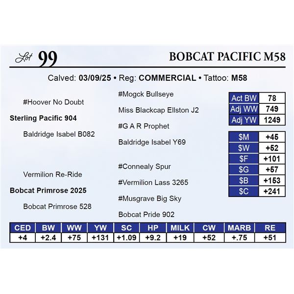 Bobcat Pacific M58