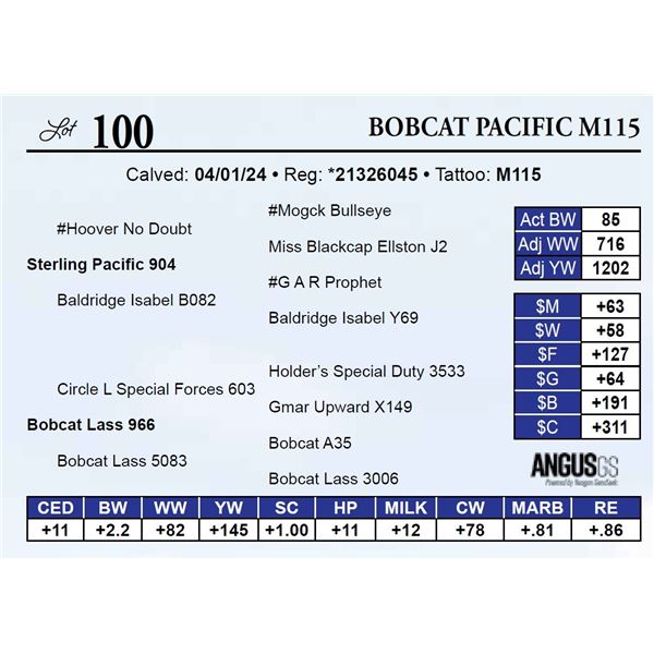 Bobcat Pacific M115