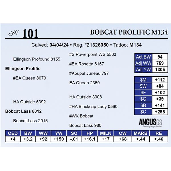 Bobcat Prolific M134