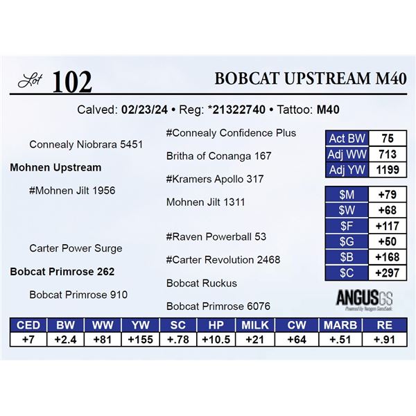 Bobcat Upstream M40