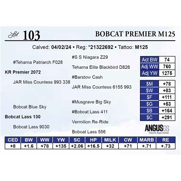 Bobcat Premier M125