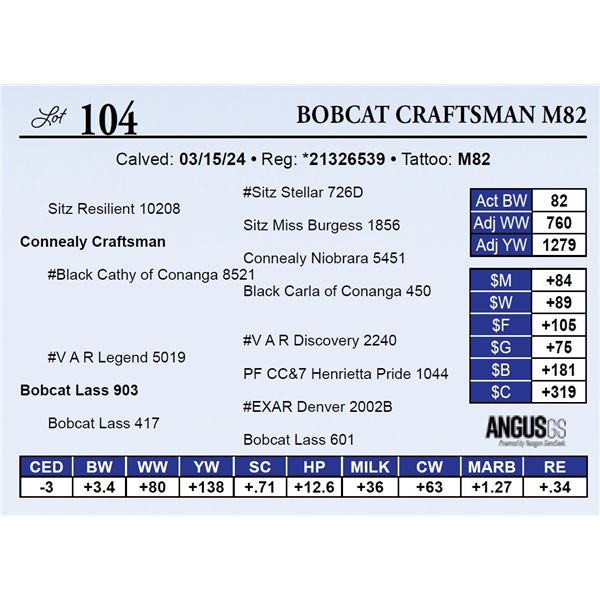 Bobcat Craftsman M82