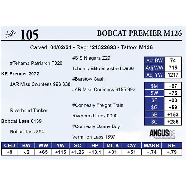 Bobcat Premier M126