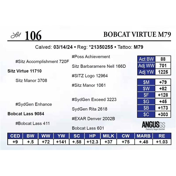 Bobcat Virtue M79