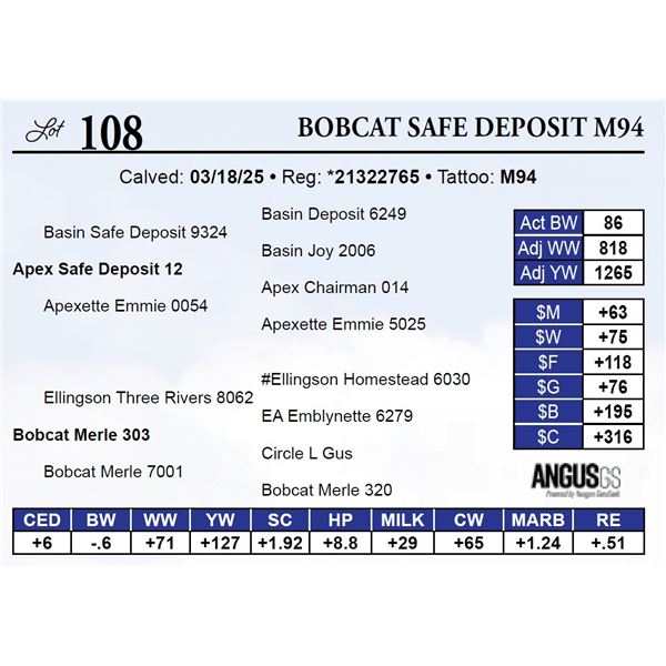 Bobcat Safe Deposit M94