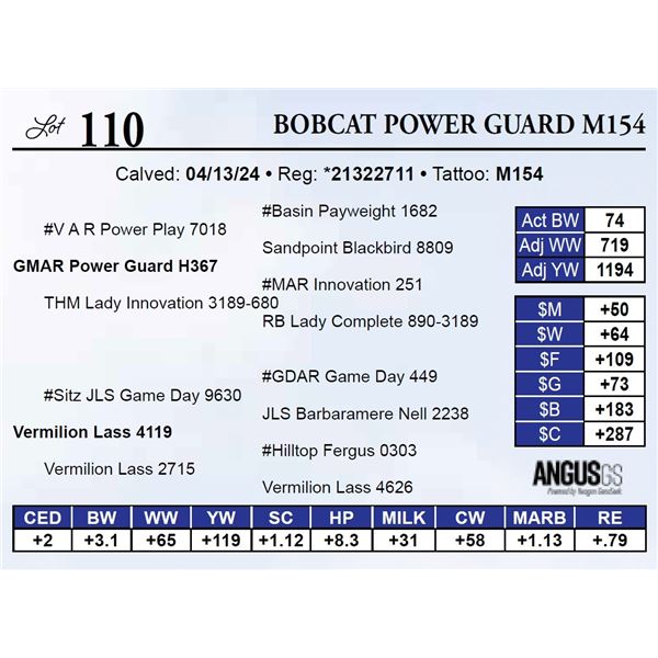 Bobcat Power Guard M154