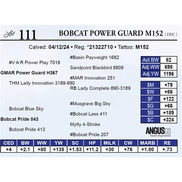 Bobcat Power Guard M152