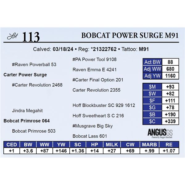 Bobcat Power Surge M91