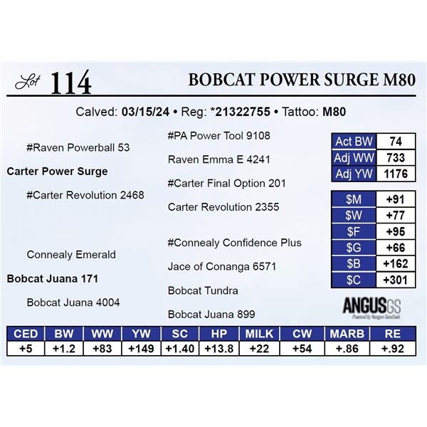Bobcat Power Surge M80