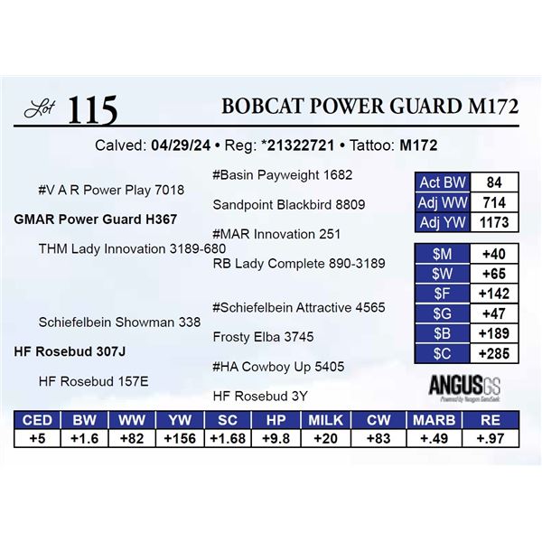 Bobcat Power Guard M172
