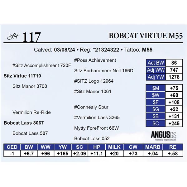 Bobcat Virtue M55