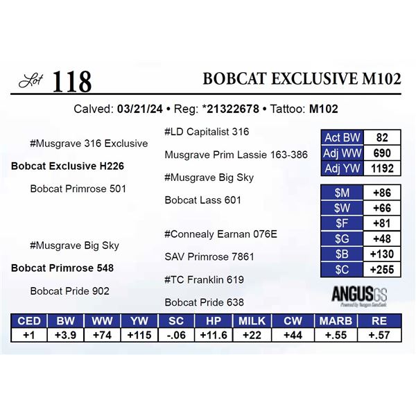 Bobcat Exclusive M102
