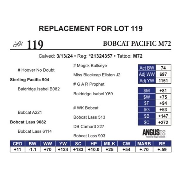 Bobcat Pacific M72