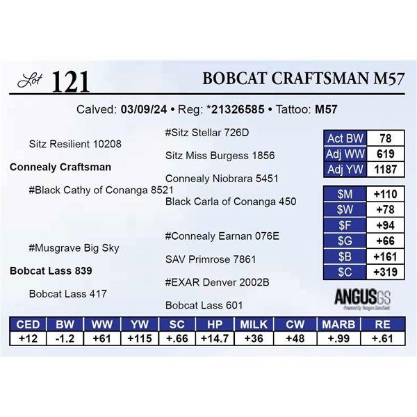 Bobcat Craftsman M57
