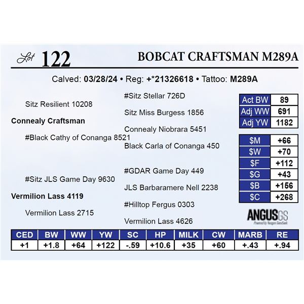 Bobcat Craftsman M289A