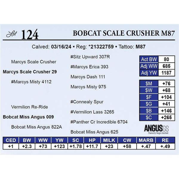 Bobcat Scale Crusher M87