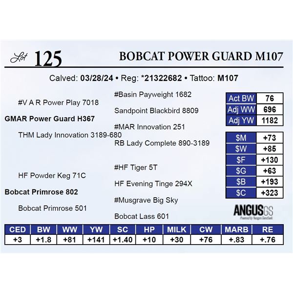 Bobcat Power Guard M107