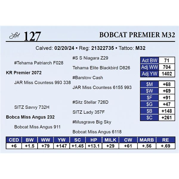 Bobcat Premier M32