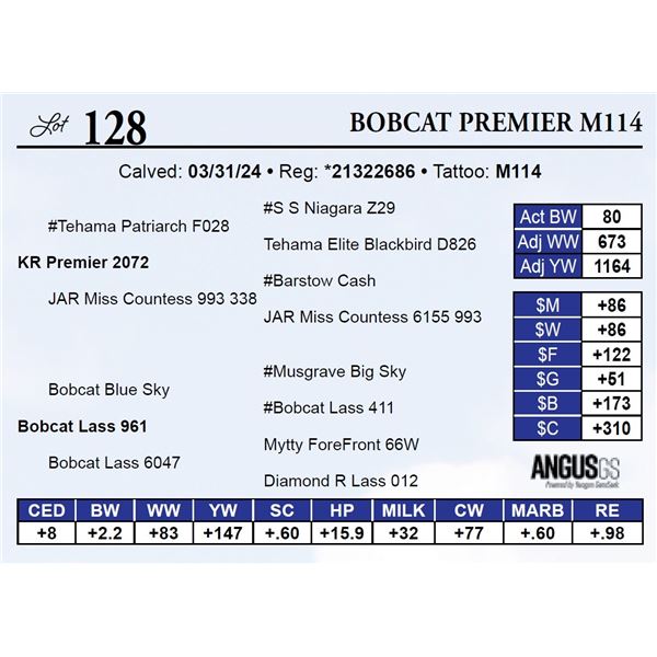 Bobcat Premier M114