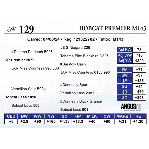 Bobcat Premier M143