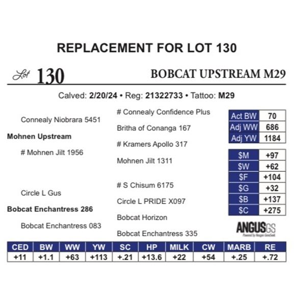 Bobcat Upstream M29