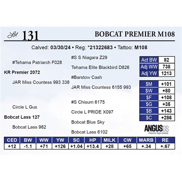 Bobcat Premier M108