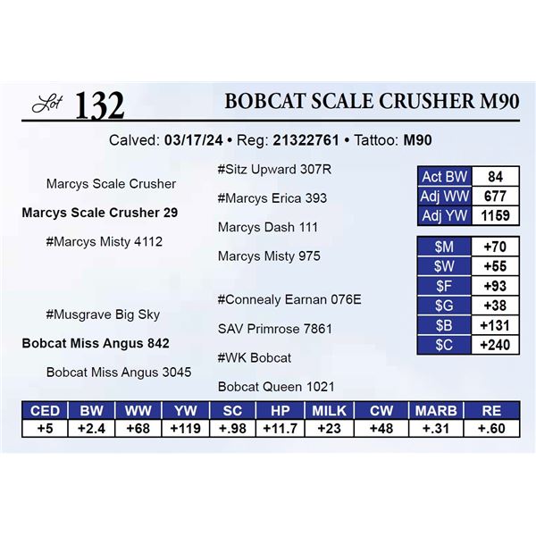 Bobcat Scale Crusher M90