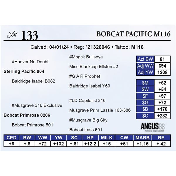 Bobcat Pacific M116