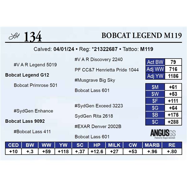 Bobcat Legend M119