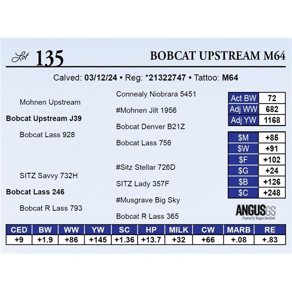 Bobcat Upstream M64