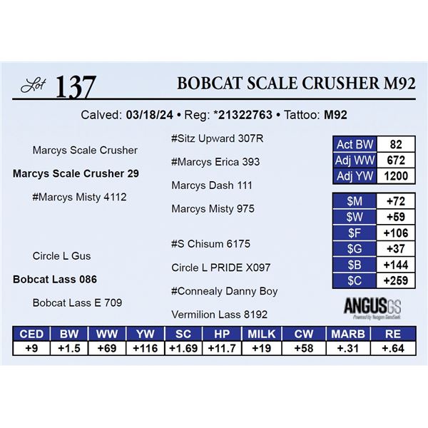 Bobcat Scale Crusher M92