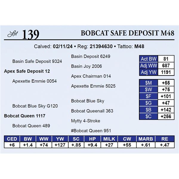 Bobcat Safe Deposit M48