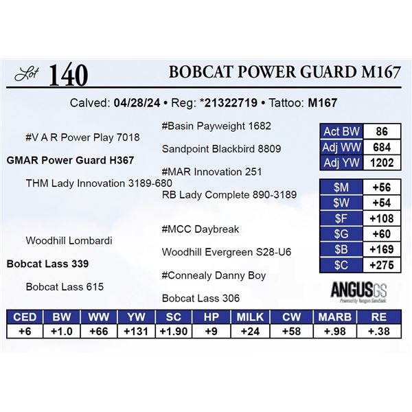 Bobcat Power Guard M167