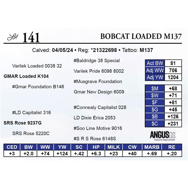Bobcat Loaded M137