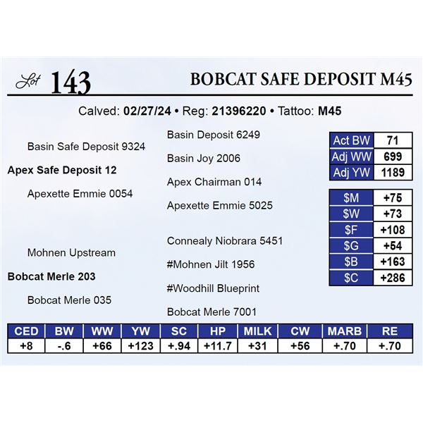 Bobcat Safe Deposit M45