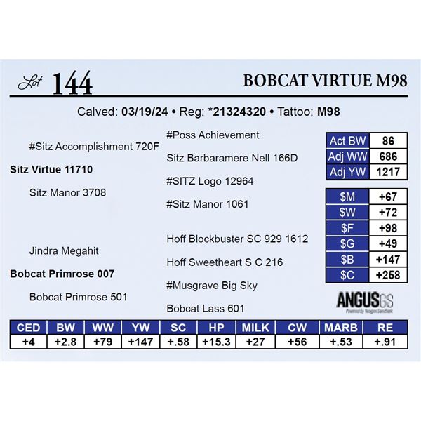 Bobcat Virtue M98