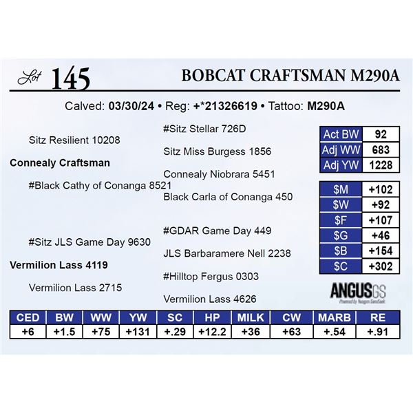 Bobcat Craftsman M290A