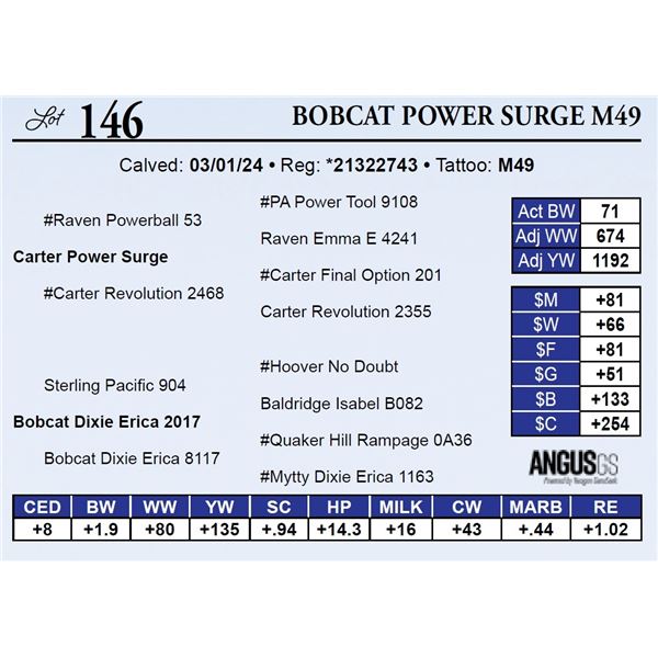 Bobcat Power Surge M49