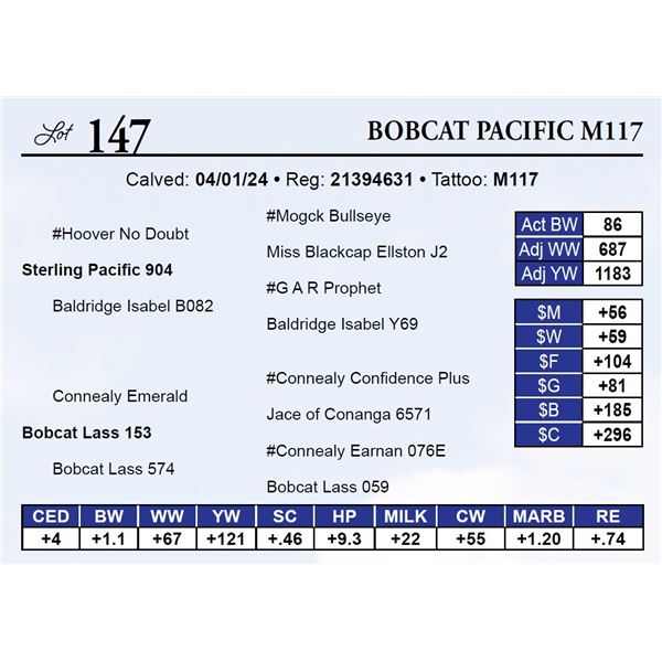 Bobcat Pacific M117