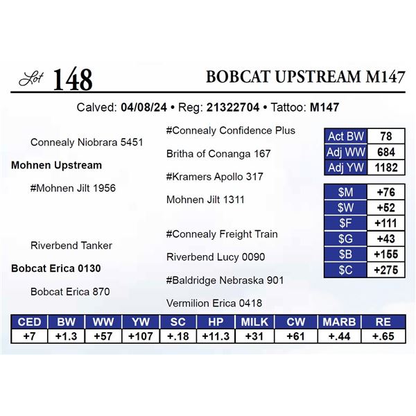 Bobcat Upstream M147